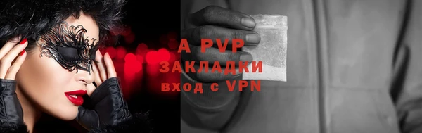 прущие грибы Киреевск