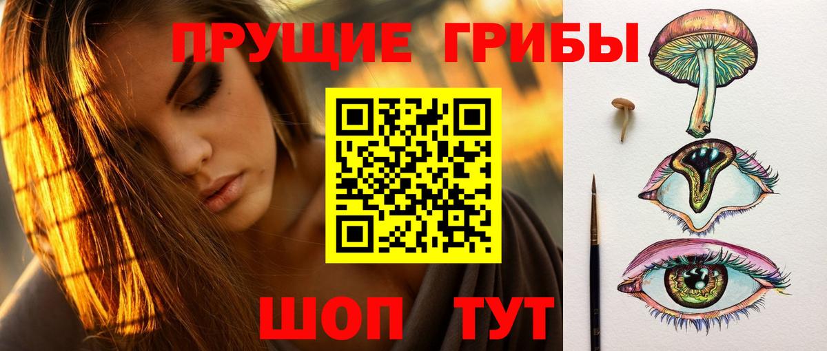 Псилоцибиновые грибы мицелий Невинномысск