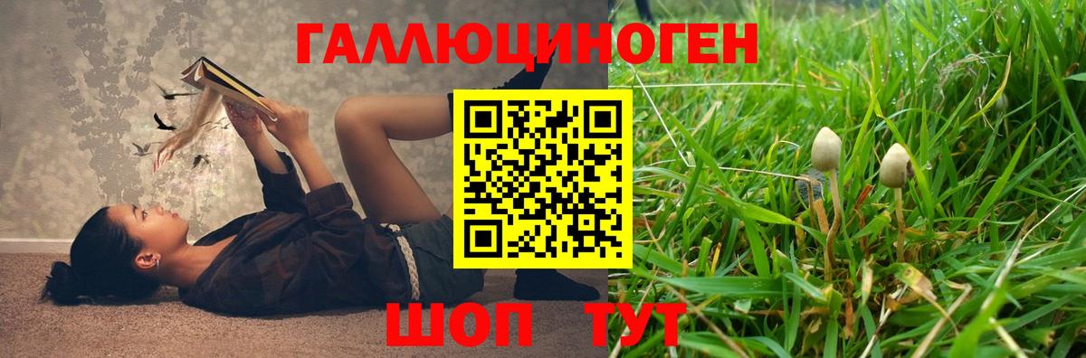 Псилоцибиновые грибы прущие грибы  Псилоцибиновые грибы Psilocybe  Невинномысск 