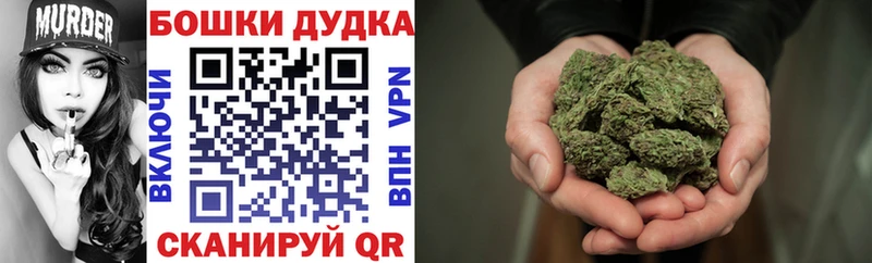 Бошки марихуана индика  Невинномысск 